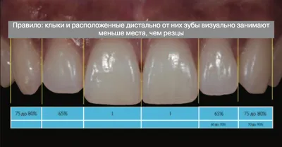 Диагностика зубов: цена в Москве на обследование заболеваний полости рта в  клинике стоматологии