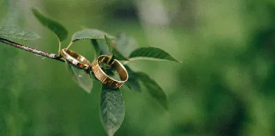 Обручальные кольца с инициалами молодожёнов | Couple wedding rings, Couple  ring design, Wedding ring sets