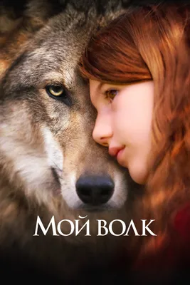 Волк серый обыкновенный (Canis lupus). Подробное описание экспоната,  аудиогид, интересные факты. Официальный сайт Artefact