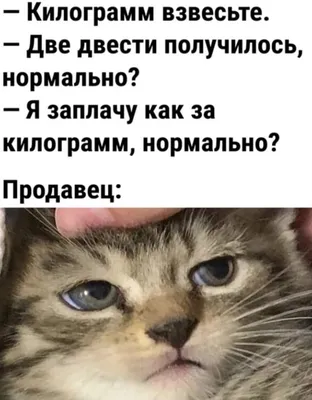 Ржать как лошадь”. Самые смешные фото домашних питомцев 2021 года: 08  декабря 2021, 13:22 - новости на Tengrinews.kz