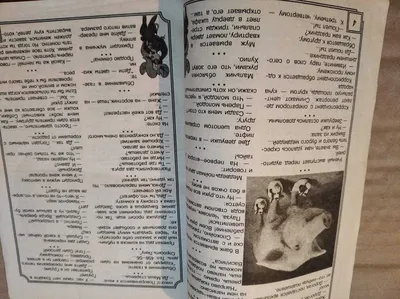 Книга Дерибасовская шутит, Юмор одесских улиц - купить современной  литературы в интернет-магазинах, цены на Мегамаркет | 1623463