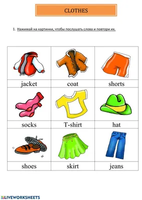 Clothes online exercise for begginer | Live Worksheets