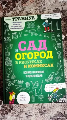 Мой первый пазл \"Картинки-половинки. Сад и огород\" Нескучные игры - купить  с доставкой по выгодным ценам в интернет-магазине OZON (1222179853)