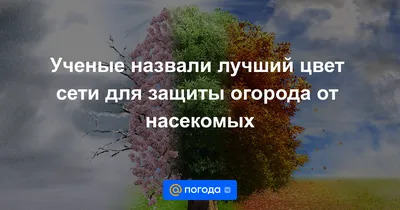 Семена Русский Огород Георгина Веселые ребята смесь 0,3 г купить для  Бизнеса и офиса по оптовой цене с доставкой в СберМаркет Бизнес