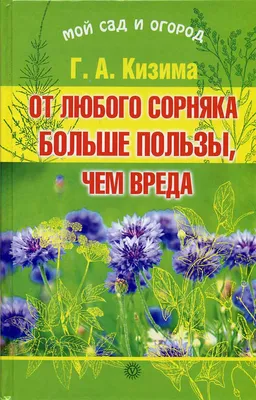 Основные сорняки на огороде (61 фото)