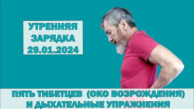 Книга: Око возрождения. Пять тибетских жемчужин Купить за 550.00 руб.