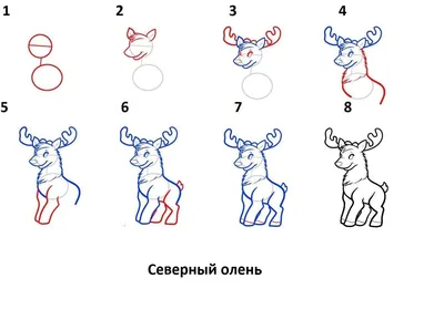 Постеры и картины ”ОЛЕНЬ РИСУНОК ” купить в Санкт-Петербурге по цене 260 ₽  – 2350 ₽, плакат ”ОЛЕНЬ РИСУНОК ” на заказ с быстрой доставкой по всей  России | «28КАРТИН»