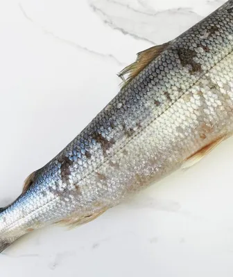Омуль холодного копчения от 2400₽ за кг | Азбука Севера – сеть магазинов  дикой рыбы