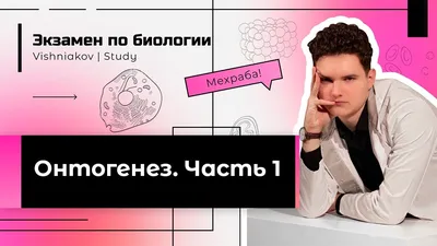 Онтогенез — тема интересная и важная. Но часть терминов в 9 классе лучше  убрать | Елена Сова: пуд соли в школе | Дзен