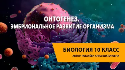 Иллюстрация 10 из 33 для Онтогенез. От клетки до человека - Джейми Дейвис |  Лабиринт - книги. Источник: