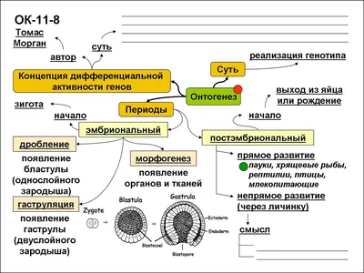 ОНТОГЕНЕЗ – новости журнала