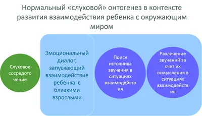 Онтогенез. От клетки до человека