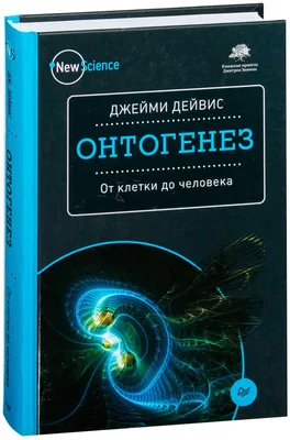 ОНТОГЕНЕЗ КОЖИ | Лицо, Химический пилинг, Верхняя губа