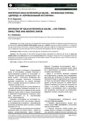 Картина «Онтогенез». Размер: 30x30 (см). Художник Ремезов Дмитрий - Купить  онлайн с доставкой в онлайн-галерее Artcenter.by