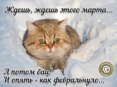 Стихотворение «Опять вернулась к нам зима...», поэт Шестаков Андрей