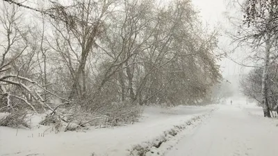 Опять снег: как изменится погода в Калининграде за два дня до апреля