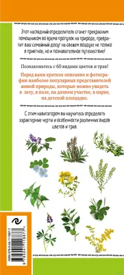 Определитель сосудистых растений Карачаево-Черкесской Республики