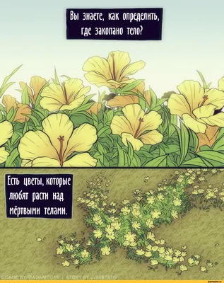 Как определить растения с помощью камеры iPhone