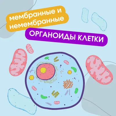 Строение клетки. Органеллы | Биология | 5 класс