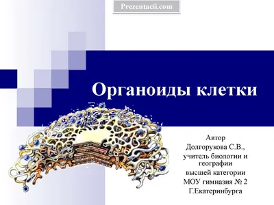 Ответы Mail.ru: Какие органоиды можно назвать так: Энергостанция,  Трубопровод, Склад, Ограда, Желудок, Командный пункт, Центральный компьютер.