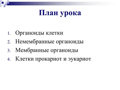 Биологи вырастили органоиды мозга из эмбриональной нервной ткани