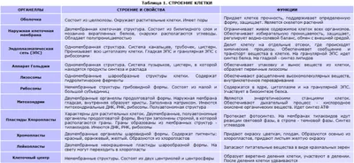 Биологи показали, как коронавирус инфицирует органоиды кишечника человека