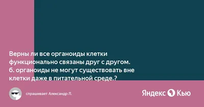 Рисунок органоиды животной и растительной клетки (48 фото) » рисунки для  срисовки на Газ-квас.ком