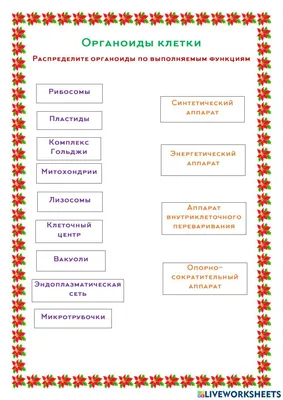 Органоиды клетки рисунки (49 фото) » Рисунки для срисовки и не только