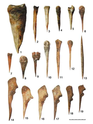 КОСТЯНЫЕ ОРУДИЯ ТРУДА РАННИХ ЗЕМЛЕДЕЛЬЦЕВ АЗЕРБАЙДЖАНА (ПО МАТЕРИАЛАМ  ПОСЕЛЕНИЯ АЛИКЕМЕКТЕПЕСИ) | Археология Евразийских степей