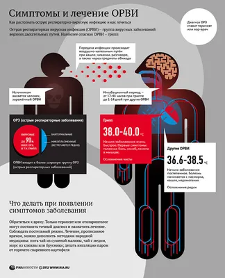 Чем отличается ОРЗ от ОРВИ: симптомы, лечение и профилактика