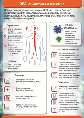 ОРВИ и ОРЗ: симптомы и лечение, разница признаков, препараты