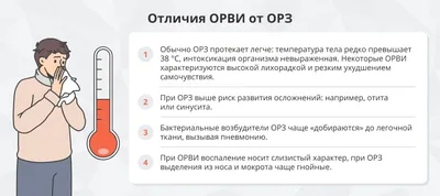 ОРЗ, ОРВИ, грипп и простуда. В чём разница? | Государственная аптечная сеть  \"Кубаньфармация\" | Дзен