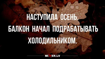 Навеяно листопадом- Смешные стихи про осень- Смешные сказки про бабу Ягу в  стихах- Ироничные стихи- Бениамин- ХОХМОДРОМ