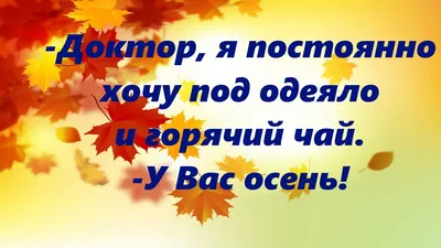 ОСЕНЬ - #юмор #позитив #хорошегодня #хорошеенастроение @... | Facebook