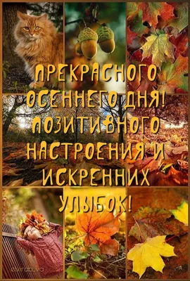 Мультяшный осенний элемент дерева PNG , осенью дерево, осень, падение PNG  картинки и пнг рисунок для бесплатной загрузки