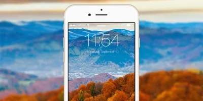 Осенние заставки на телефон - новые картинки (107 ФОТО)