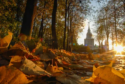 Золотая осень в Москве