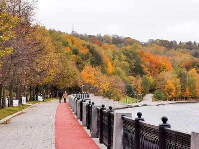 Осень в Москве | РИА Новости Медиабанк