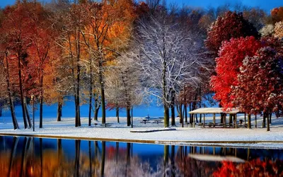 Осень зима картинки обои