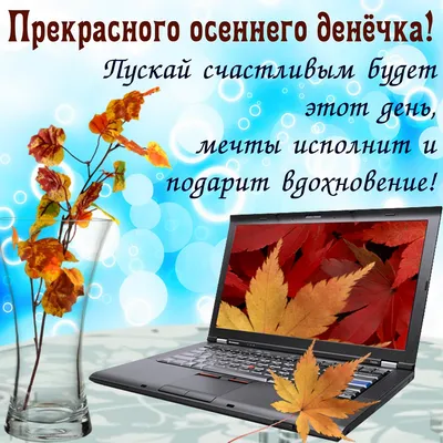 Прикольная осенняя открытка с добрым утром и пожеланиями | Открытки,  Собачки, Забавные животные