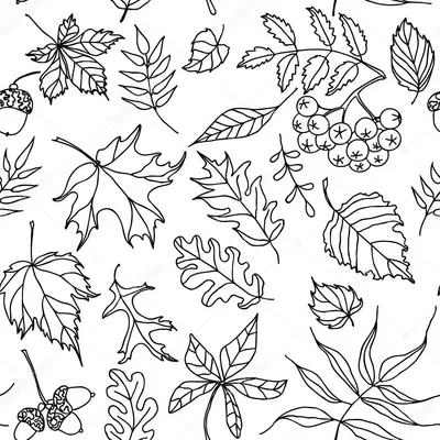 Картинки по запросу осенние листья черно белые | Black and white doodle,  Pattern coloring pages, Botanical line drawing