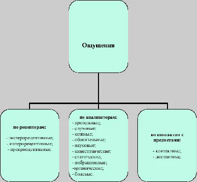 Классификация ощущений | Юлия Доршакова | Дзен