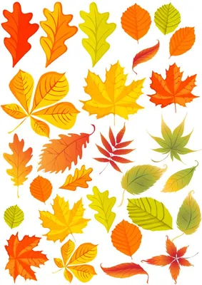 Осенние листья картинки. Детские рисунки листочков для школы.