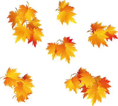 Раскраска Осенние листья распечатать или скачать