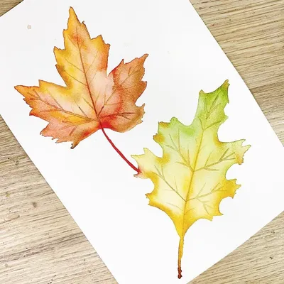Fall Set Png Image Gallery Yopriceville View Ⓒ - Красивые Картинки Осенние  Листочки - Free Transparent PNG Download - PNGkey