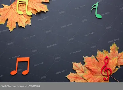 Брошь кленовые листья осенние разноцветные из фоамирана – купить в  интернет-магазине HobbyPortal.ru с доставкой