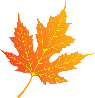 Осенние листья из фетра 5-6 см Дуб Набор 50 штук - купить с доставкой по  выгодным ценам в интернет-магазине OZON (604197821)