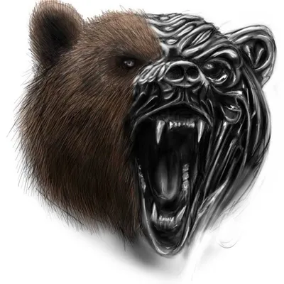 Злой медведь рисунок - 74 фото