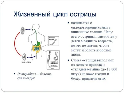 Острицы: какие признаки, что делать? | МедИнфо | Дзен