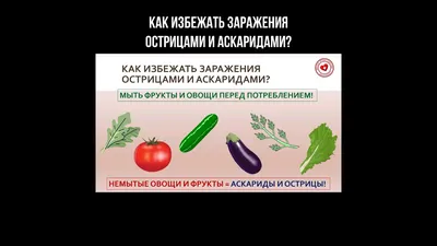 Image: Жизненный цикл острицы - Справочник MSD Версия для потребителей